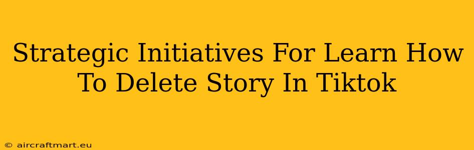 Strategic Initiatives For Learn How To Delete Story In Tiktok