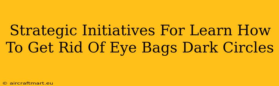 Strategic Initiatives For Learn How To Get Rid Of Eye Bags Dark Circles