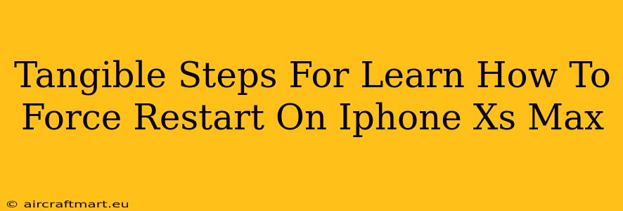 Tangible Steps For Learn How To Force Restart On Iphone Xs Max