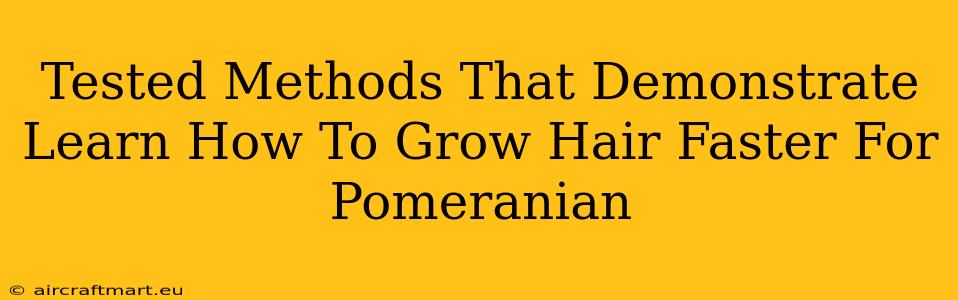 Tested Methods That Demonstrate Learn How To Grow Hair Faster For Pomeranian