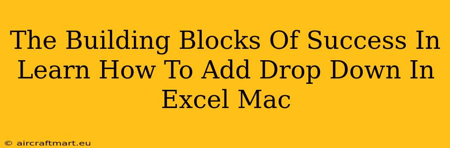 The Building Blocks Of Success In Learn How To Add Drop Down In Excel Mac