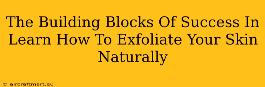 The Building Blocks Of Success In Learn How To Exfoliate Your Skin Naturally