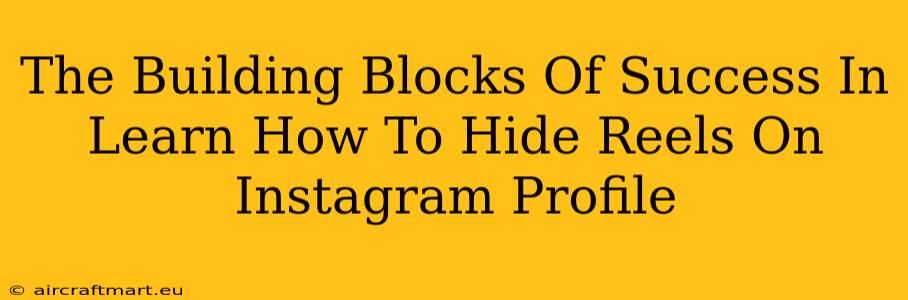 The Building Blocks Of Success In Learn How To Hide Reels On Instagram Profile