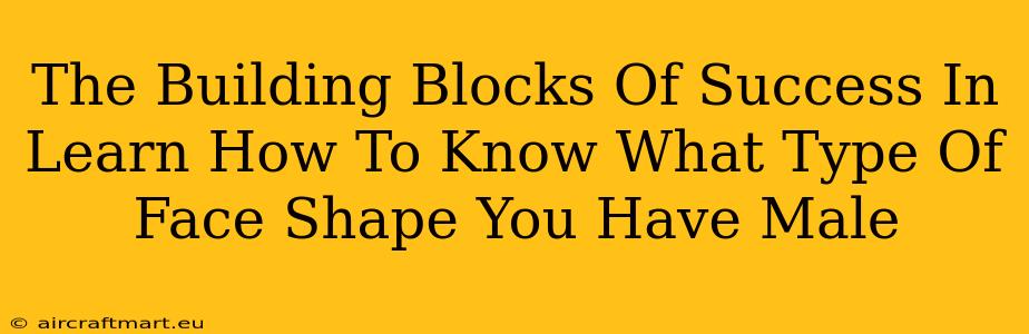 The Building Blocks Of Success In Learn How To Know What Type Of Face Shape You Have Male