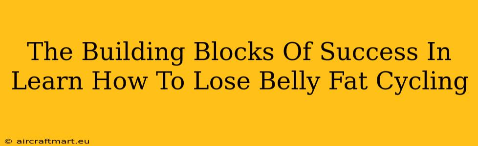 The Building Blocks Of Success In Learn How To Lose Belly Fat Cycling