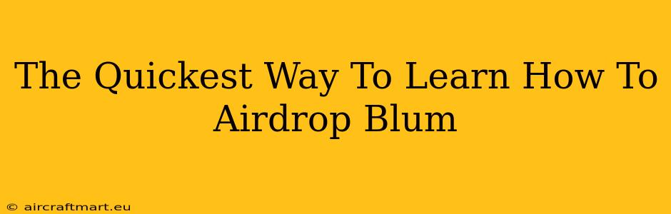 The Quickest Way To Learn How To Airdrop Blum