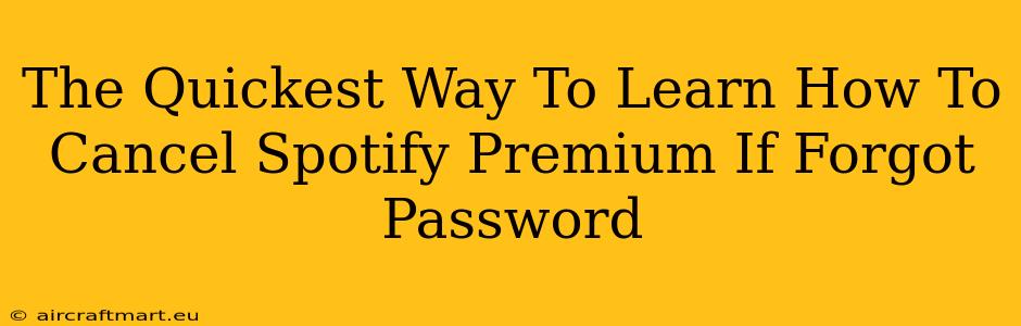 The Quickest Way To Learn How To Cancel Spotify Premium If Forgot Password