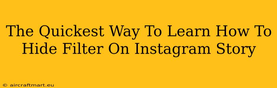 The Quickest Way To Learn How To Hide Filter On Instagram Story