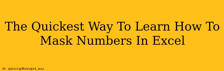 The Quickest Way To Learn How To Mask Numbers In Excel