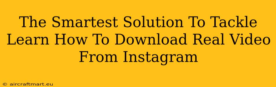 The Smartest Solution To Tackle Learn How To Download Real Video From Instagram