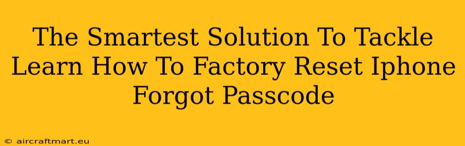 The Smartest Solution To Tackle Learn How To Factory Reset Iphone Forgot Passcode