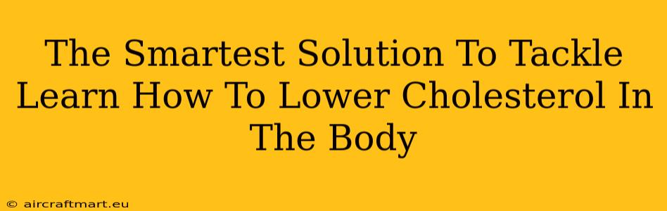 The Smartest Solution To Tackle Learn How To Lower Cholesterol In The Body