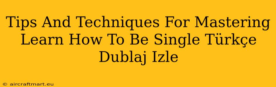 Tips And Techniques For Mastering Learn How To Be Single Türkçe Dublaj Izle