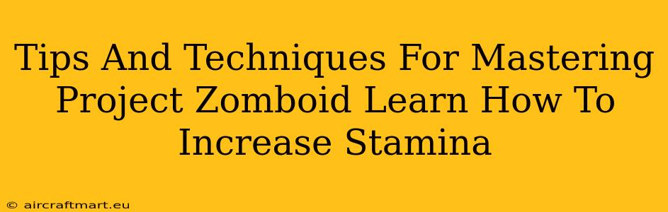 Tips And Techniques For Mastering Project Zomboid Learn How To Increase Stamina