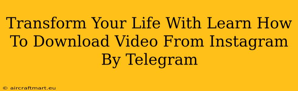 Transform Your Life With Learn How To Download Video From Instagram By Telegram