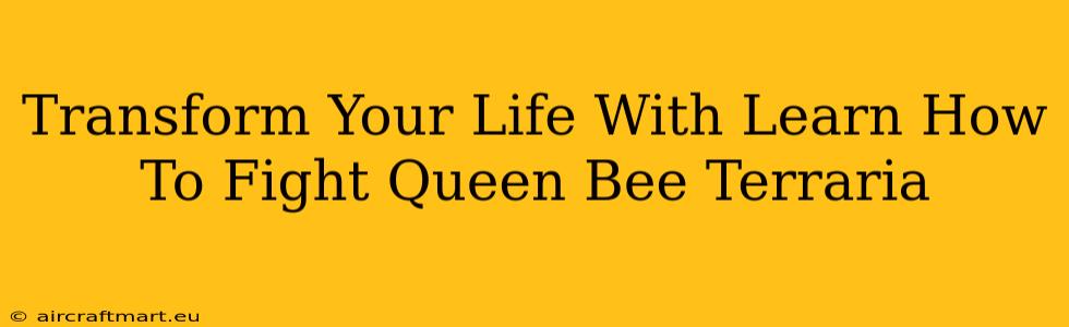 Transform Your Life With Learn How To Fight Queen Bee Terraria