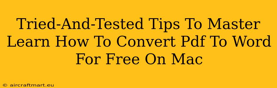 Tried-And-Tested Tips To Master Learn How To Convert Pdf To Word For Free On Mac