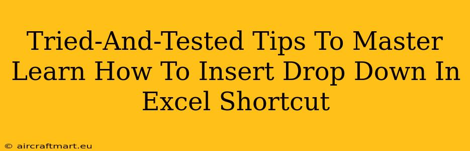 Tried-And-Tested Tips To Master Learn How To Insert Drop Down In Excel Shortcut