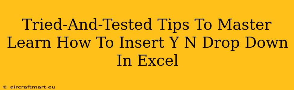 Tried-And-Tested Tips To Master Learn How To Insert Y N Drop Down In Excel