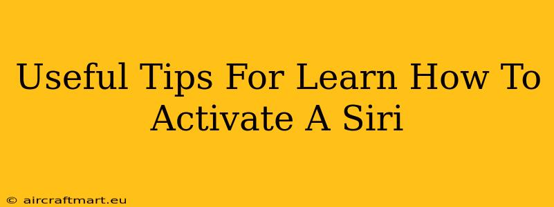 Useful Tips For Learn How To Activate A Siri