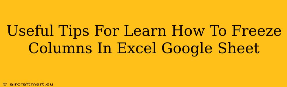 Useful Tips For Learn How To Freeze Columns In Excel Google Sheet